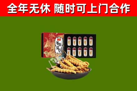 云城回收冬虫夏草价格
