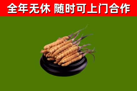 云城烟酒回收冬虫夏草.jpg